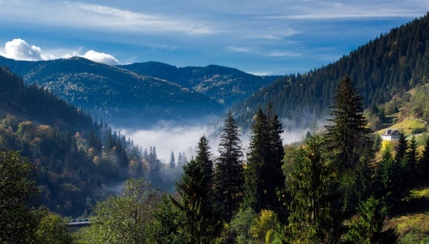 Прокуратура через суд скасовує приватизацію землі Карпатського національного природного парку