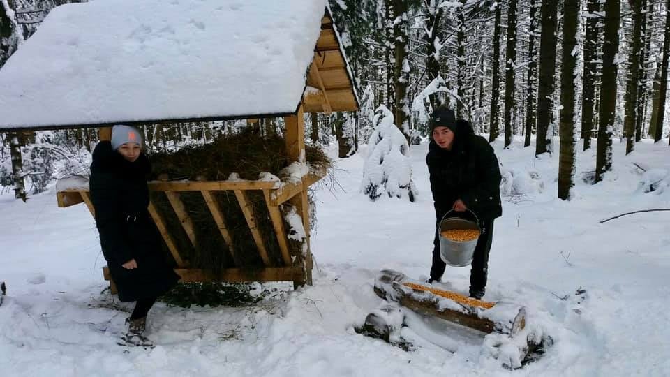 Як юні прикарпатські лісівники підгодовують диких звірів (ФОТО)