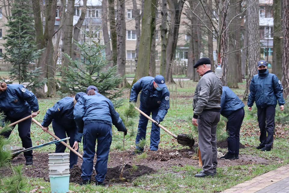 Кедрову алею створили охоронці суду в Івано-Франківську (ФОТО)