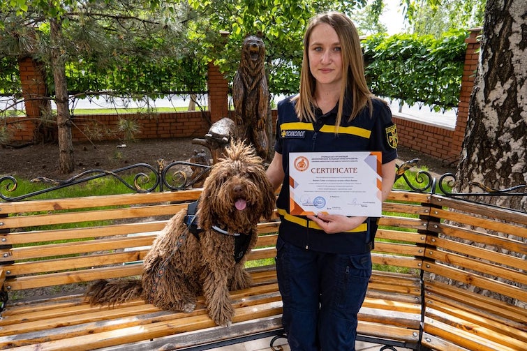Собака-психолог, що працює у ДСНС, отримав сертифікат “терапевта”