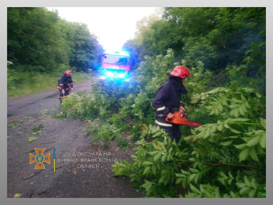 Повалені дерева, пошкоджені містки та розмита дорога: наслідки негоди на Франківщині (ФОТО)