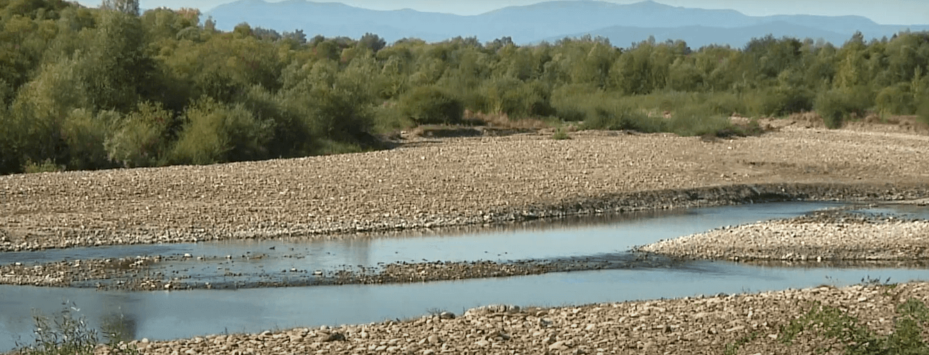 Експерти визначили найчистішу річку на Франківщині (ВІДЕО)