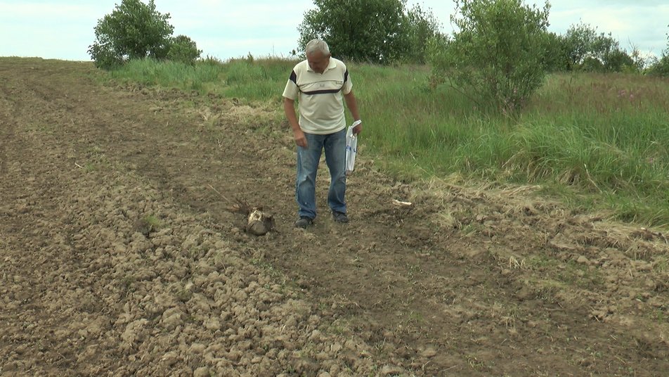 “Землю мою залили хімією”. На Франківщині пенсіонер звинувачує агрокомпанію у захопленні його землі