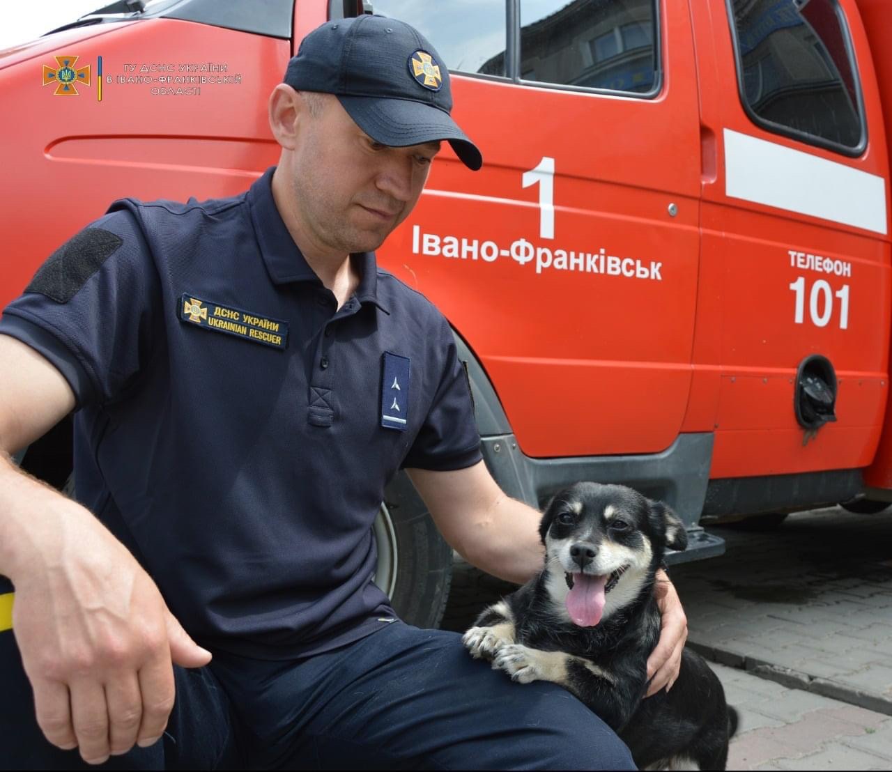 «Тушканчик»: історія собачки-улюбленця франківських рятувальників (ФОТО)