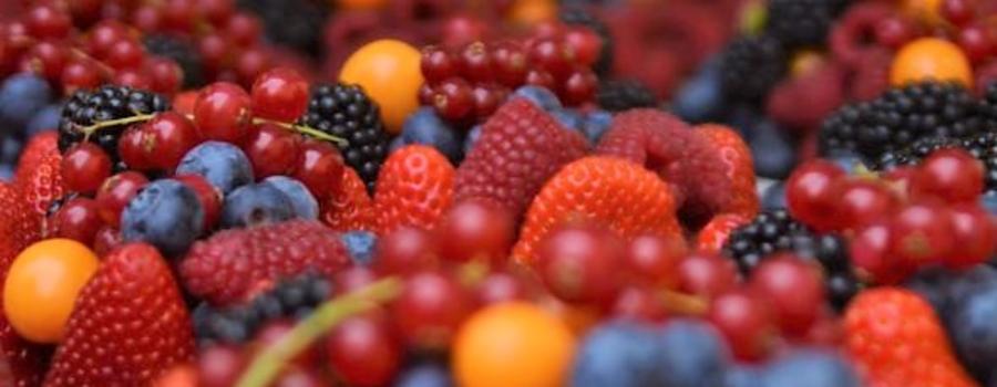 Галка рекомендує: які ягоди найкорисніші і скільки можна з’їсти на день