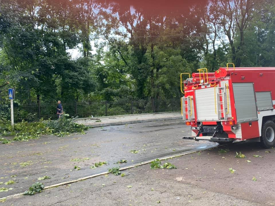 Негода на Коломийщині та Надвірнянщині пошкодила три дахи і повалила десятки дерев