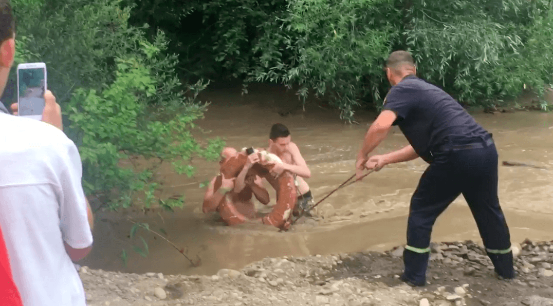 Раптово піднялася вода: вчора рятувальники з бурхливих річок витягли 12 людей (ФОТО, ВІДЕО)