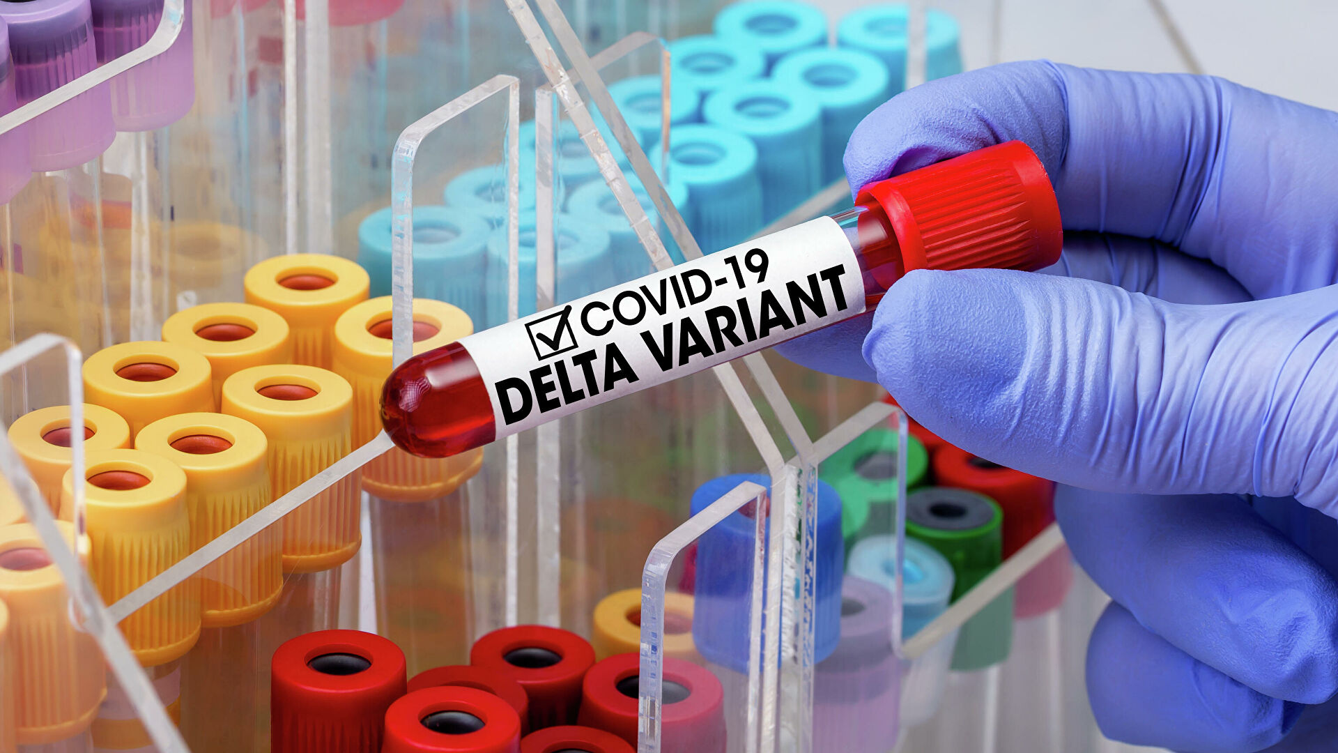 На Франківщині вже 10 випадків коронавірусу штаму “Дельта”: деякі хворі нещодавно повернулися з Туреччини та Іспанії