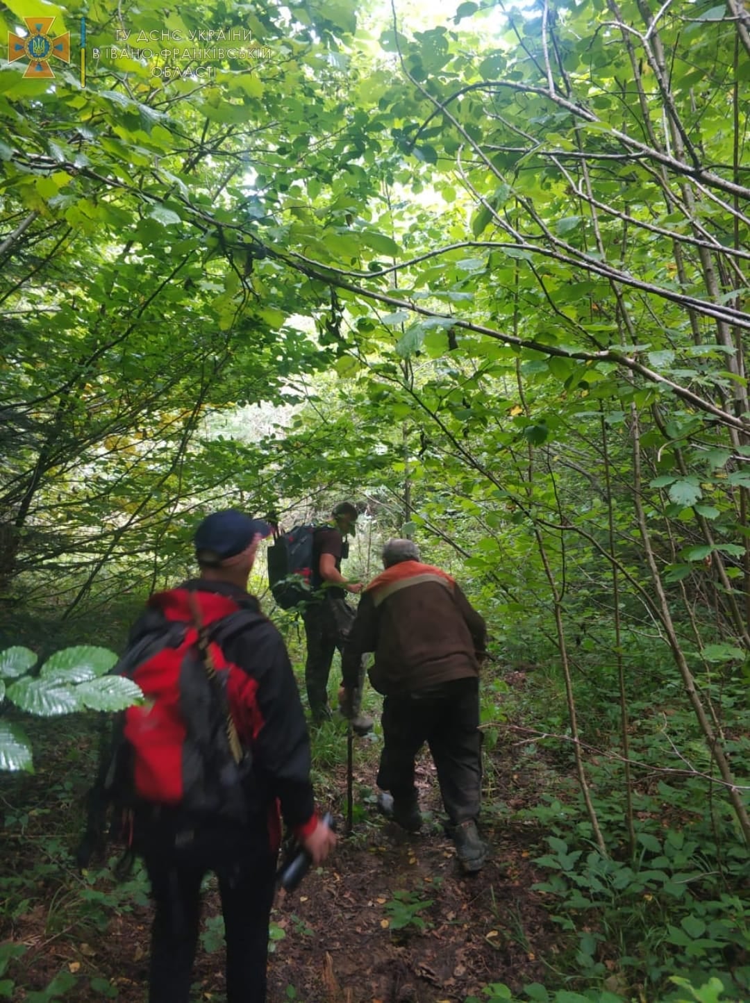 На Надвірнянщині майже весь день шукали заблукалого грибника (ФОТО)