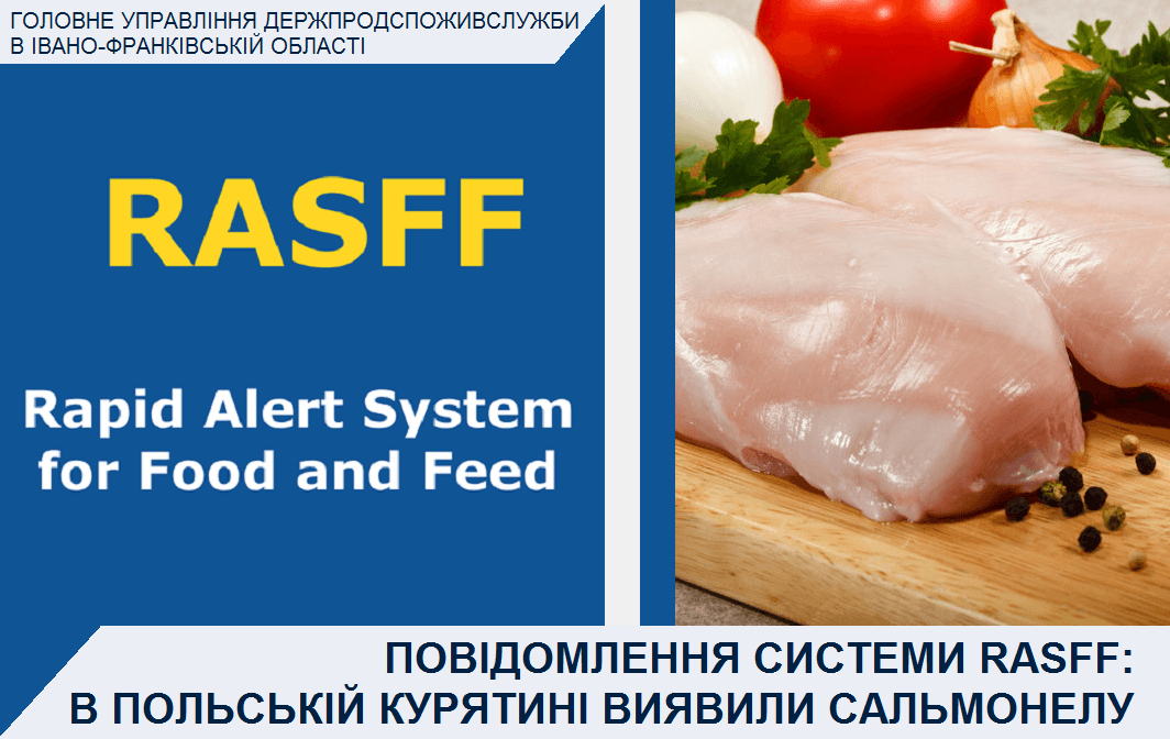 Франківців попереджають про небезпечну польську курятину з сальмонелою