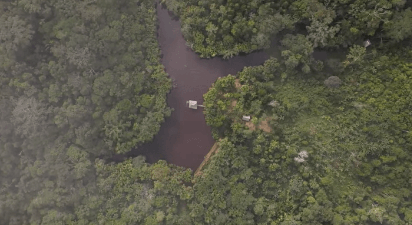 Ексдепутатка облради купила землю в джунглях Амазонії (ВІДЕО)