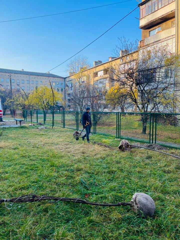 На "БАМі" висадили нову алею ФОТО