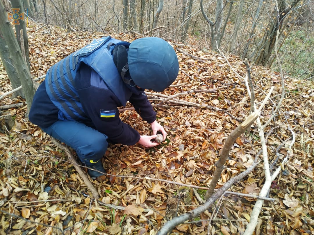 У лісі на Калущині знешкодили ручну гранату (ФОТО)