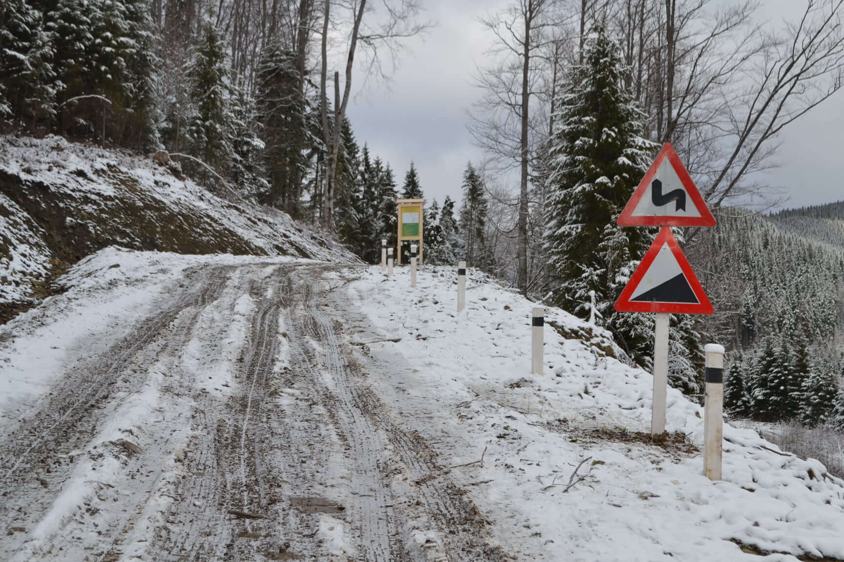 Новозбудовану лісову дорогу відкрили на Верховинщині (ФОТО)