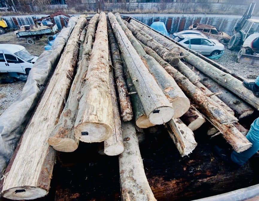 Прикарпатські правоохоронці затримали вантажівку з незаконно зрубаною деревиною