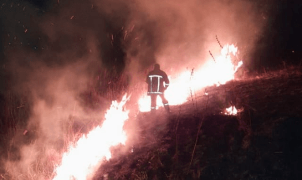 Вогнеборці ліквідовують дві масштабні пожежі сухої трави у Делятинській громаді (ФОТО)