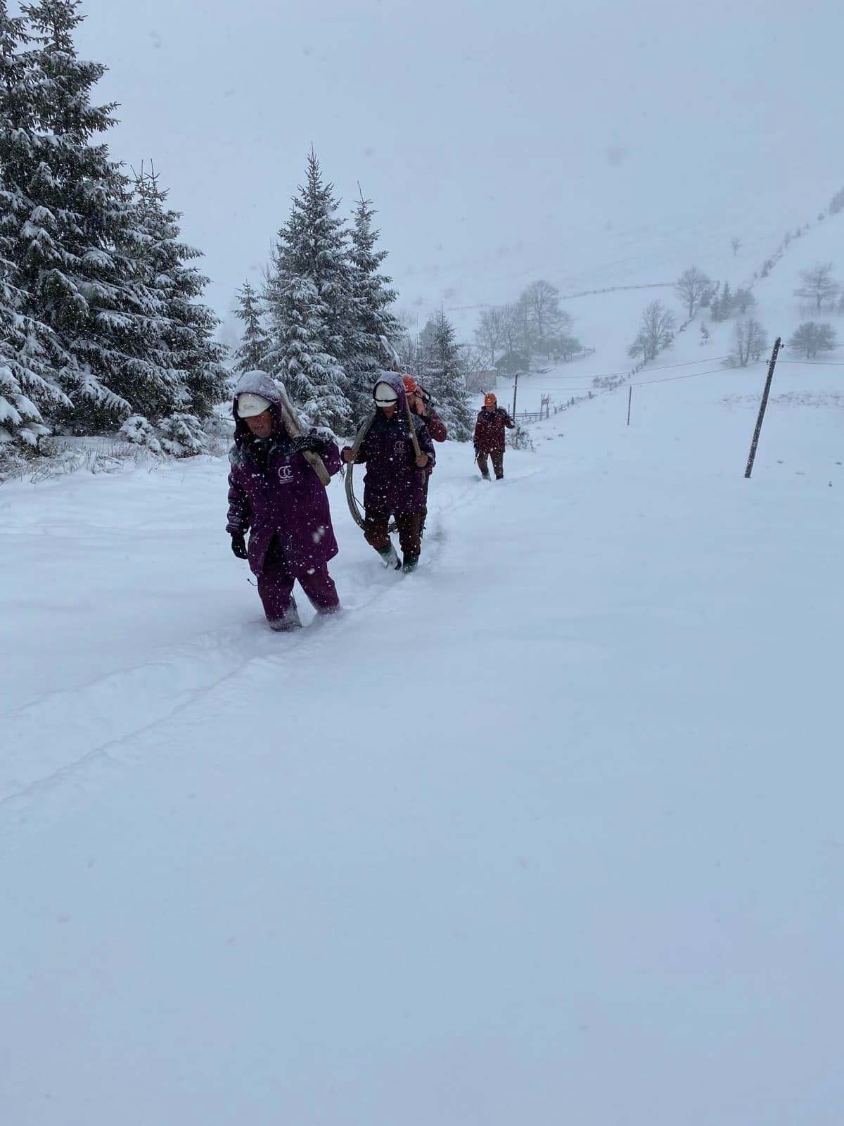 Снігопади спричинили перебої з електропостачанням у 200 населених пунктах Франківщини (ФОТО)