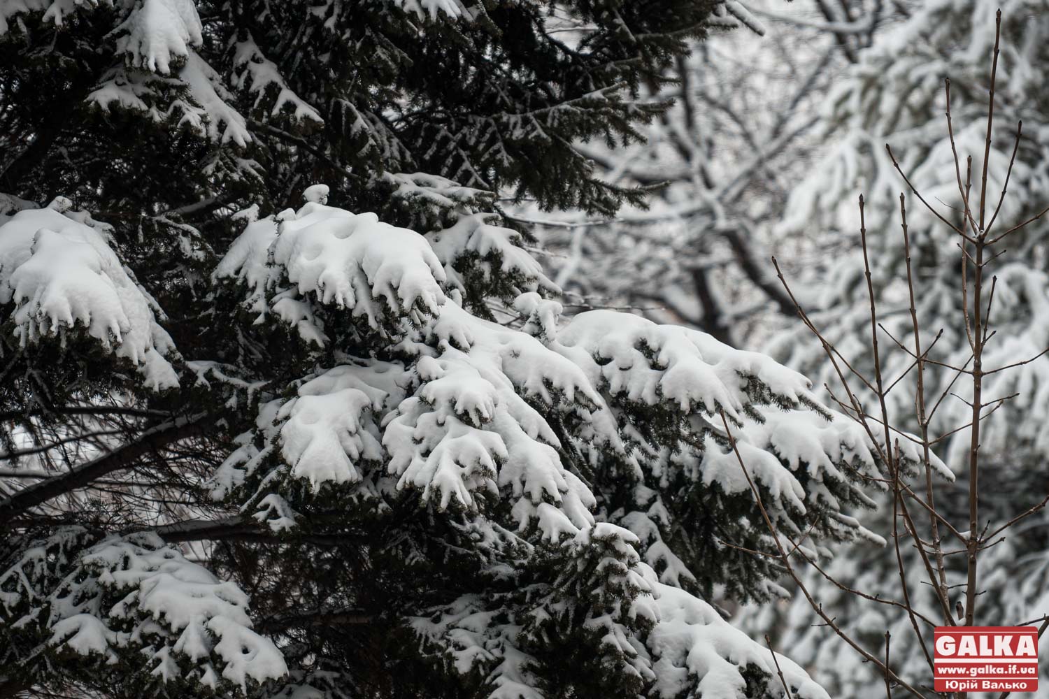 Зимове спорядження для виживання: невід’ємні елементи та як їх вибрати