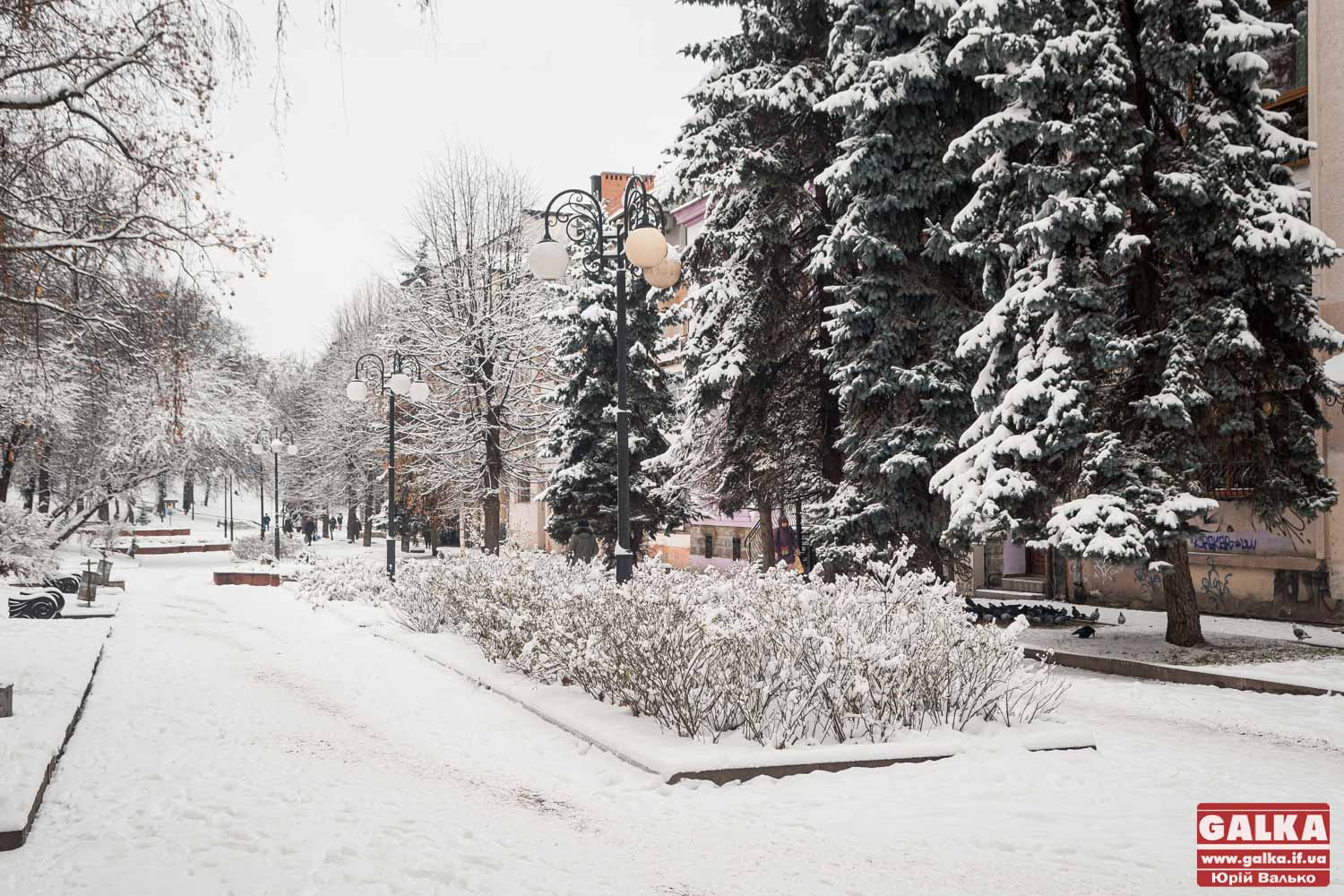 Синоптики спрогнозували, якою буде цьогорічна зима в Україні