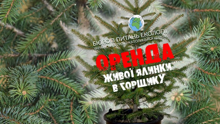 В Івано-Франківську церква дає в оренду живі ялинки у горщиках