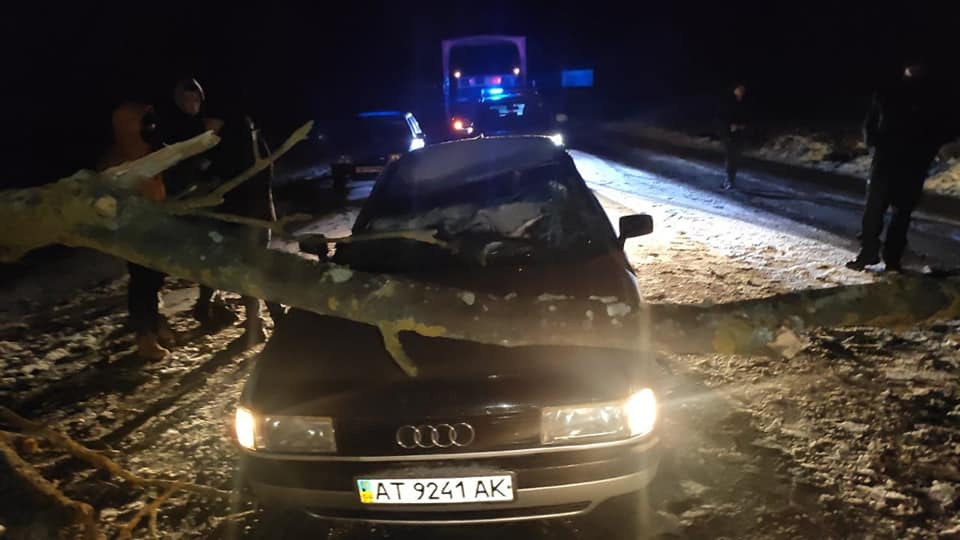 Сильний вітер повалив дерево на два автомобілі в Коломийському районі (ФОТО)