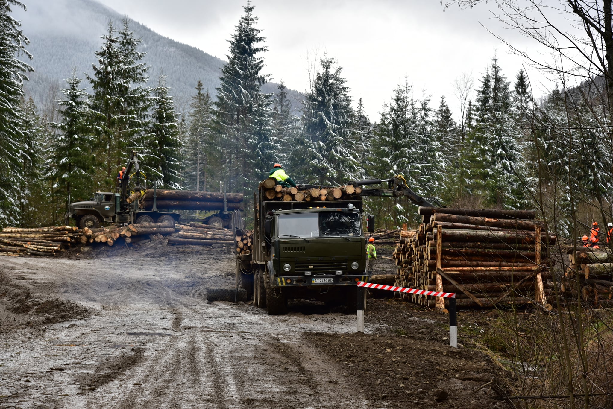 Начальнику та інспектору відділення Карпатського нацпарку повідомили про підозру за порубку лісу