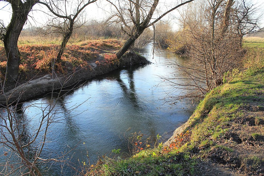 Перевищення у 130 разів: екологи дослідили забруднення річки Гнила Липа поблизу Бурштинської ТЕС (ДОКУМЕНТ)