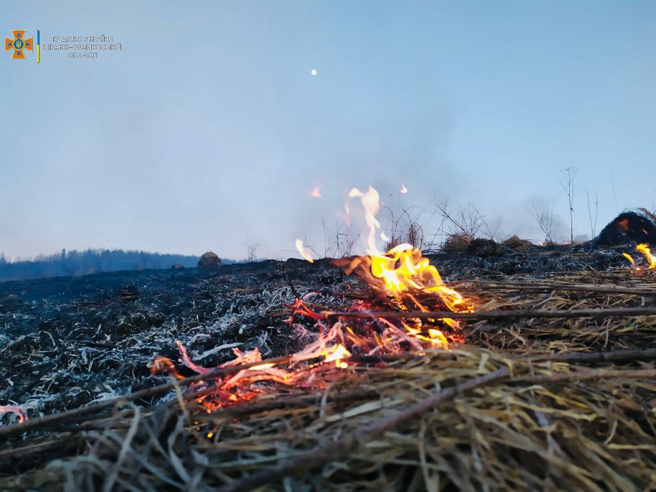 Прикарпатців закликають не палити суху траву та сміття. Минулої доби рятувальники 8 разів гасили масштабні пожежі сухої трави