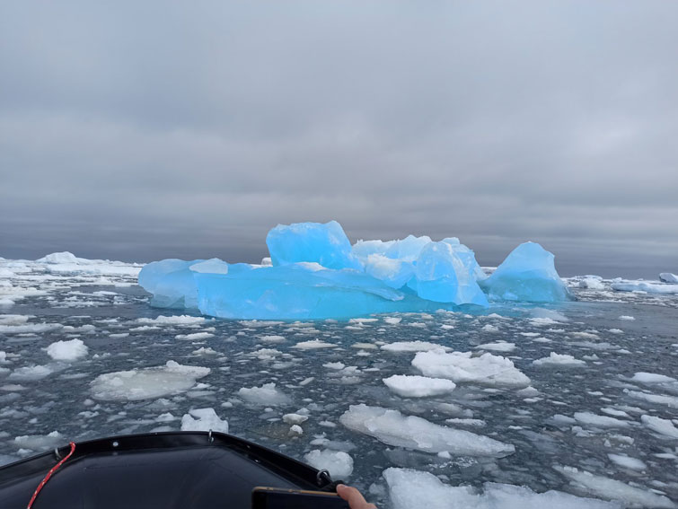 Жовта, зелена і чорна: українські полярники показали “кольорову” Антарктиду (ФОТО)