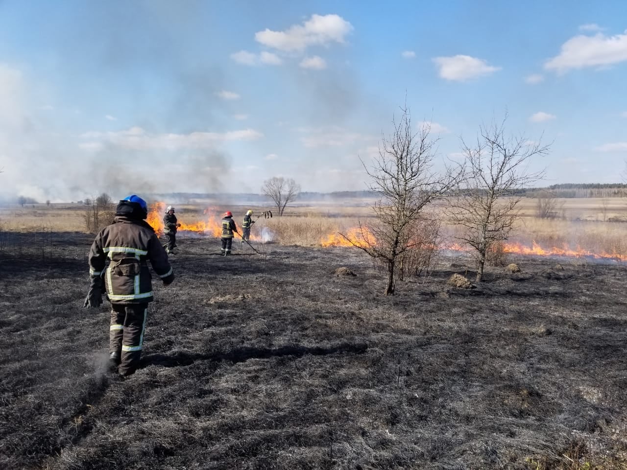 У суботу в області гасили 43 пожежі сухої трави