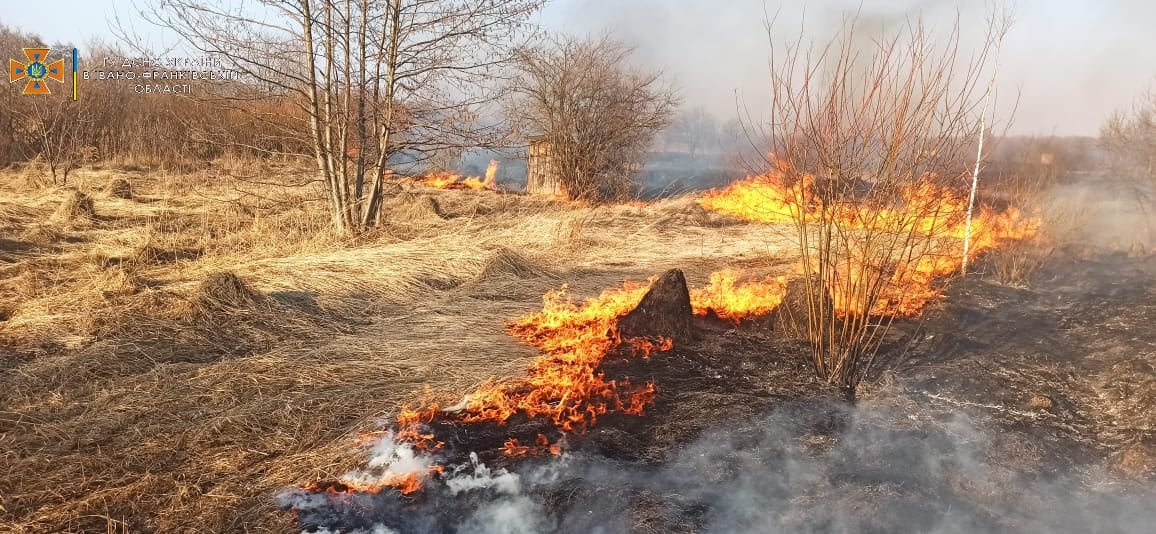 У середу на Прикарпатті гасили 94 пожежі сухої трави