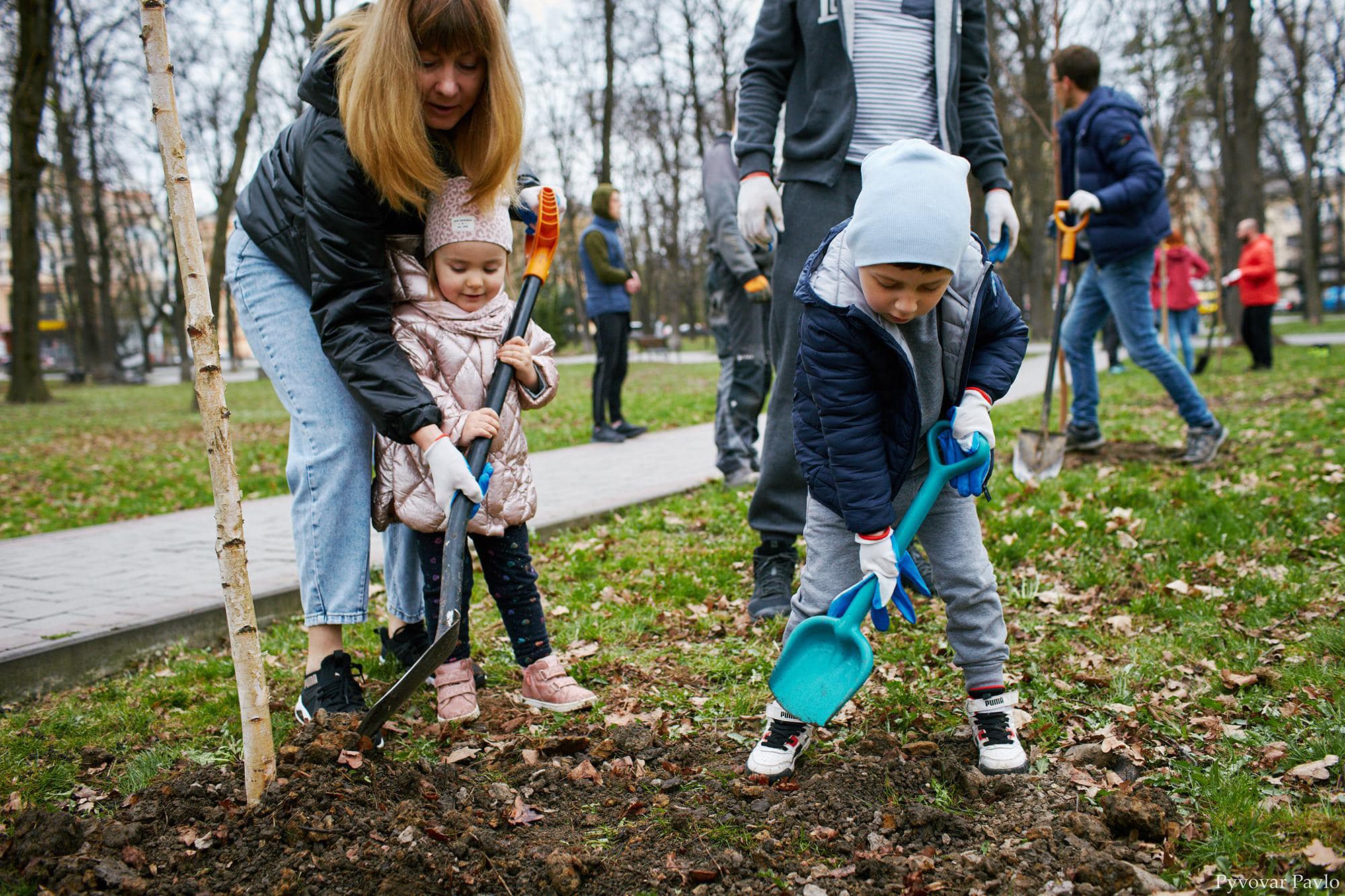 Липи, берези та граби: франківці і вимушені переселенці посадили у місцевому парку 35 дерев (ФОТО)