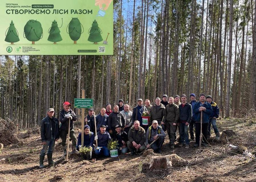 Створюють нові ліси: на Яремчанщині лісівники висадили понад 80 тисяч дерев (ФОТО)