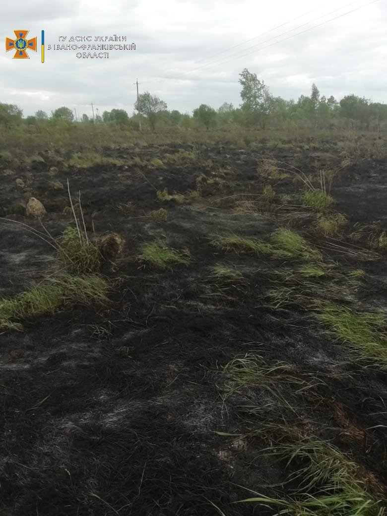 У неділю в Чернієві горіла суха трава на площі 4 га (ФОТОФАКТ)