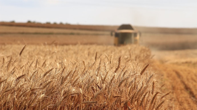 Через війну Україна втратила 25% посівних площ, урожаю може бути на 40% менше