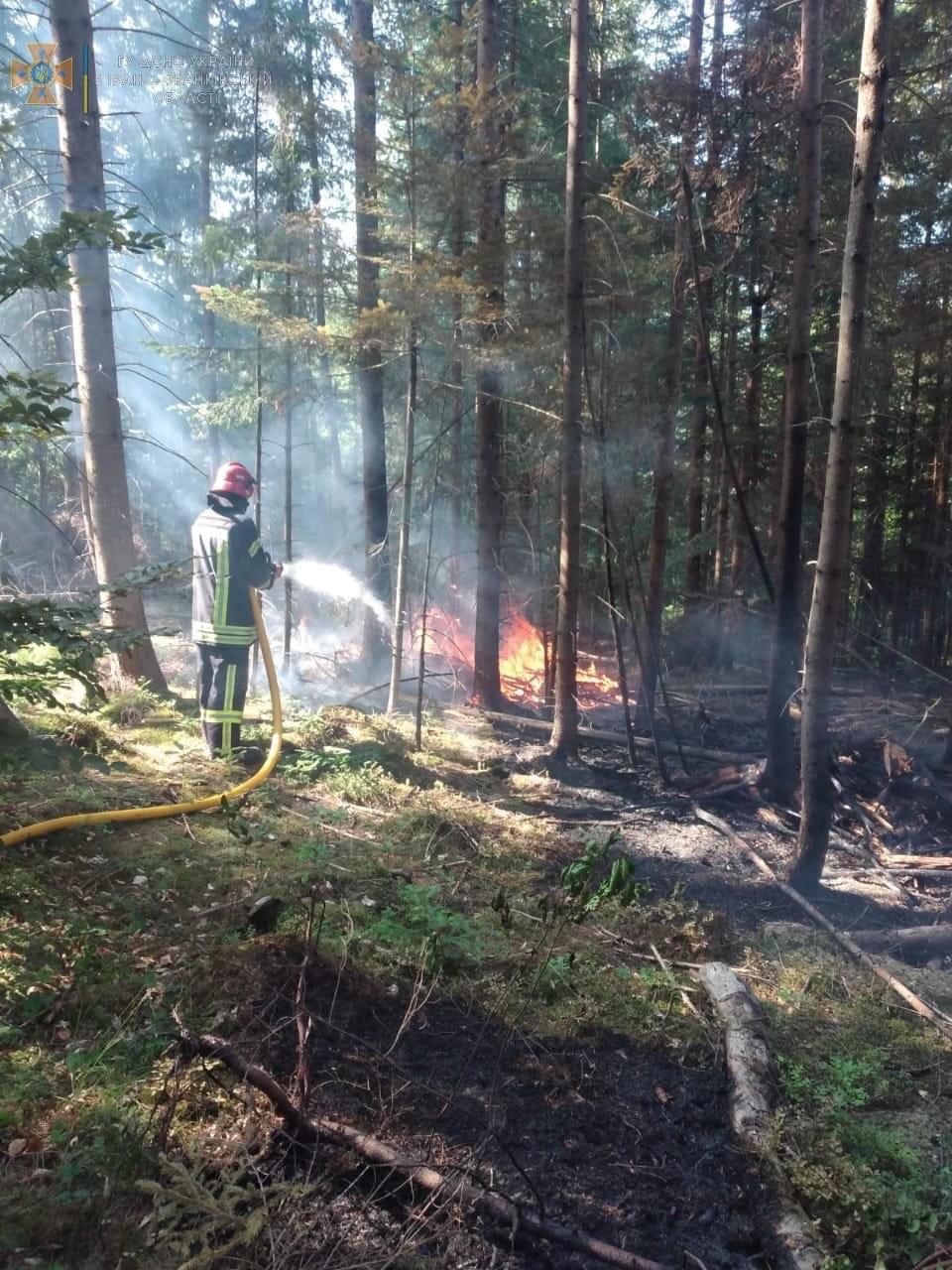 Вогнеборці ліквідували пожежу в лісі на Прикарпатті (ФОТО) 