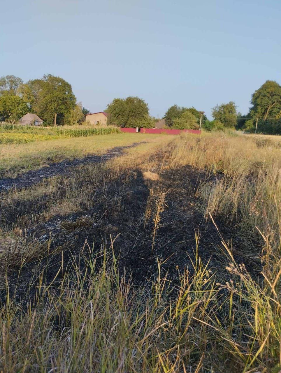 На Прикарпатті жінка отримала опіки, бо спалювала суху траву (ФОТО)