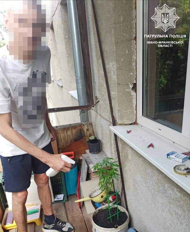На Сорохтея чоловік показав патрульним, як на балконі вирощує марихуану (ФОТО)