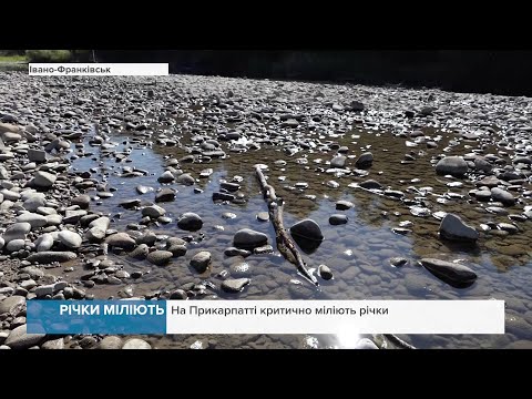Води стає менше: На Прикарпатті критично міліють річки (ВІДЕО)