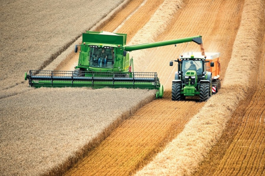На Прикарпатті найвища врожайність зернових та зернобобових