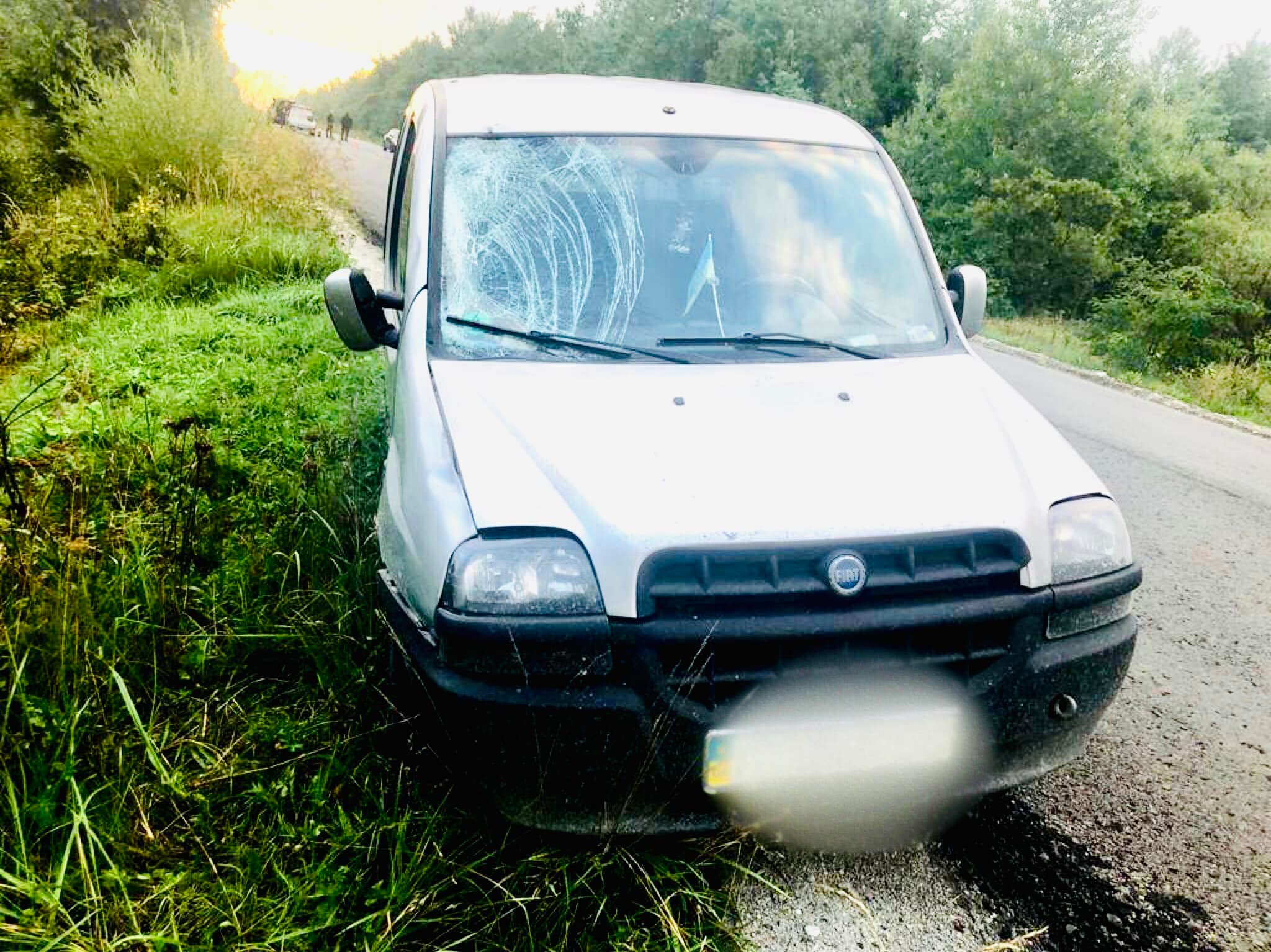 На Богородчанщині водій Fiat на смерть збив чоловіка (ФОТО)