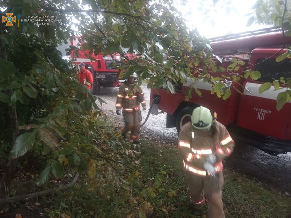 На пожежі будинку у Гвіздці виявили тіло (ФОТО)