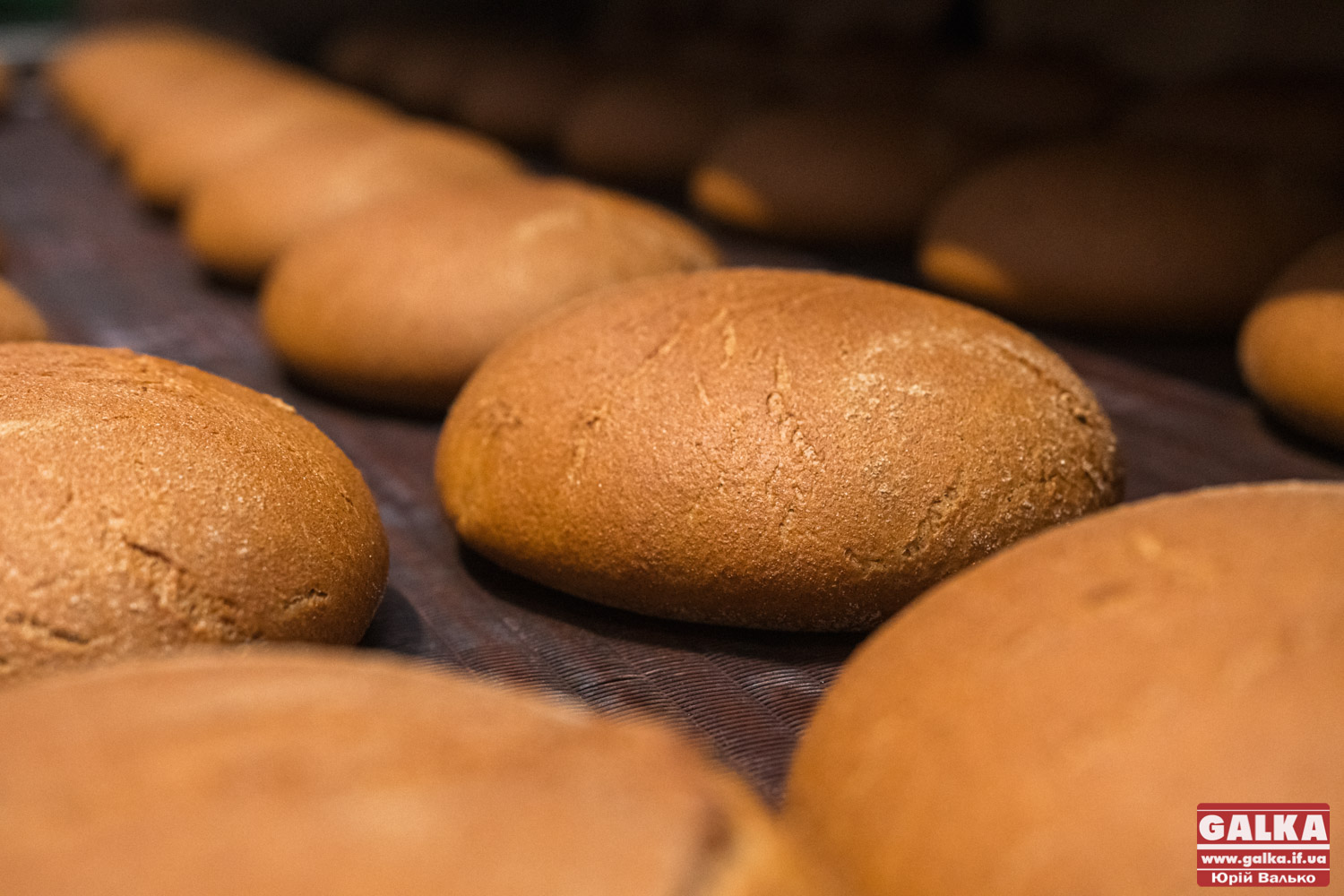 “Дарницький”: чому тільки цей хліб смакує, як у дитинстві 