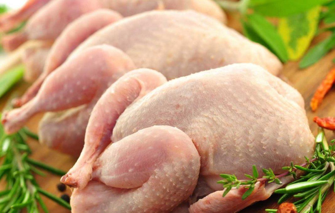 Прикарпатців попереджають про небезпечну курятину з сальмонелою та нікарбазином