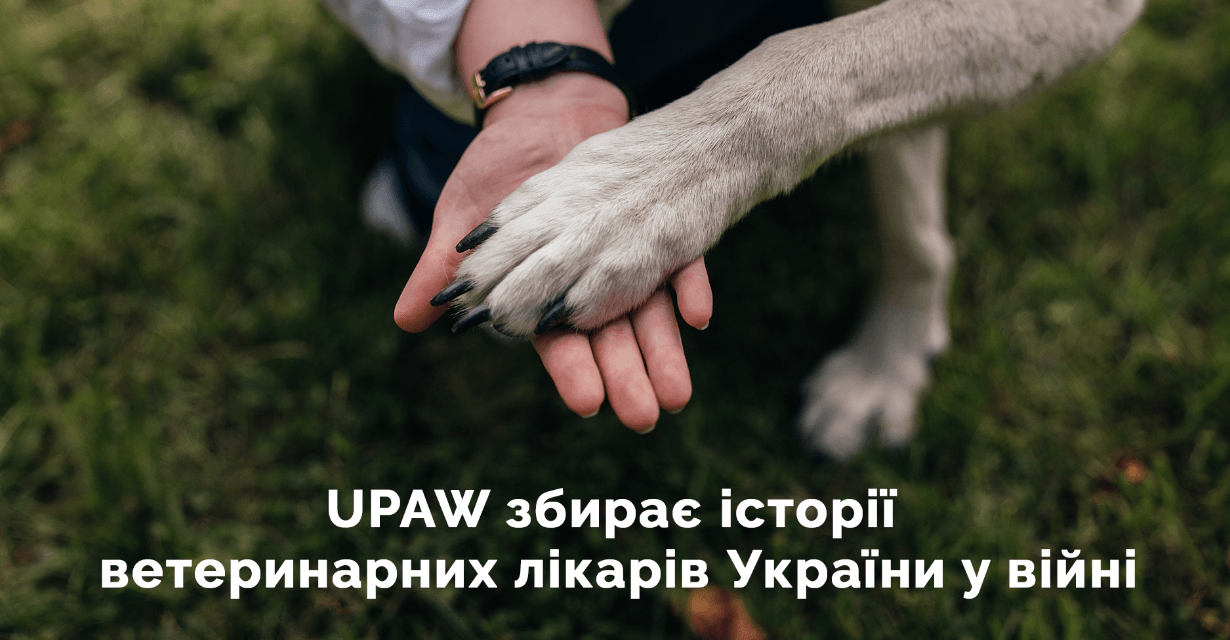 Українських ветеринарів закликають ділитися «воєнними» історіями