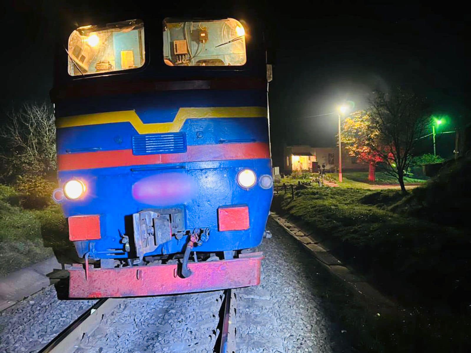 На Рогатинщині під потягом загинула 50-річна жінка (ФОТО)