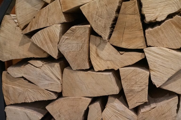 На Косівщині дрова коштують 20 тисяч за машину через проблеми з лісовпорядкуванням (ВІДЕО)