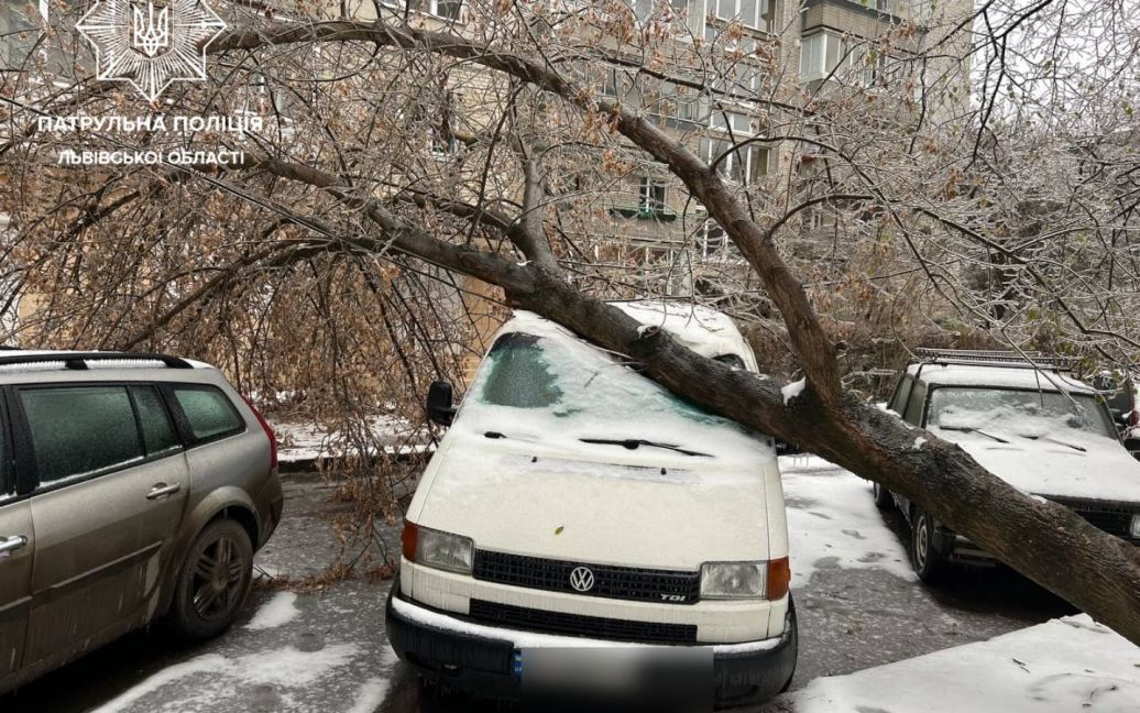 У Львові лютує негода: повалені дерева та електроопори, містян просять сидіти вдома