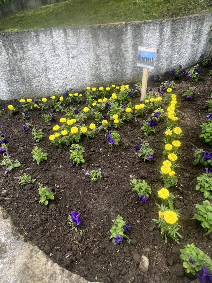 У калуському парку з квітів висадили герб Маріуполя (ФОТО)