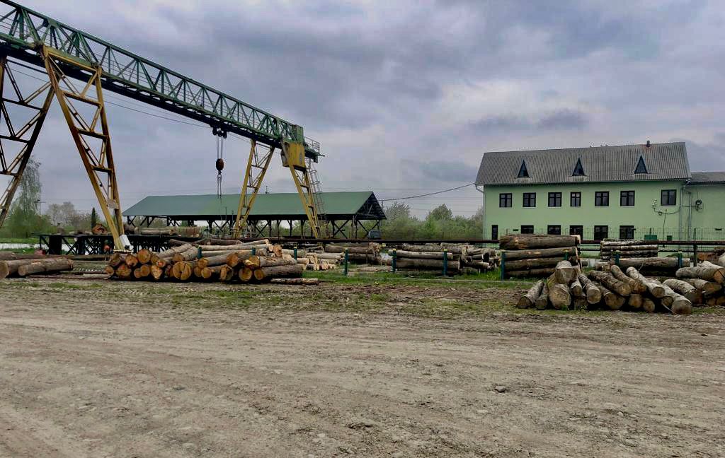 Посадовця лісгоспу на Прикарпатті затримали на хабарі (ФОТО)